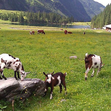 Ferienhaus Gerlinde II Kaprun Extérieur photo